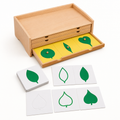 Botany Cabinet Puzzle