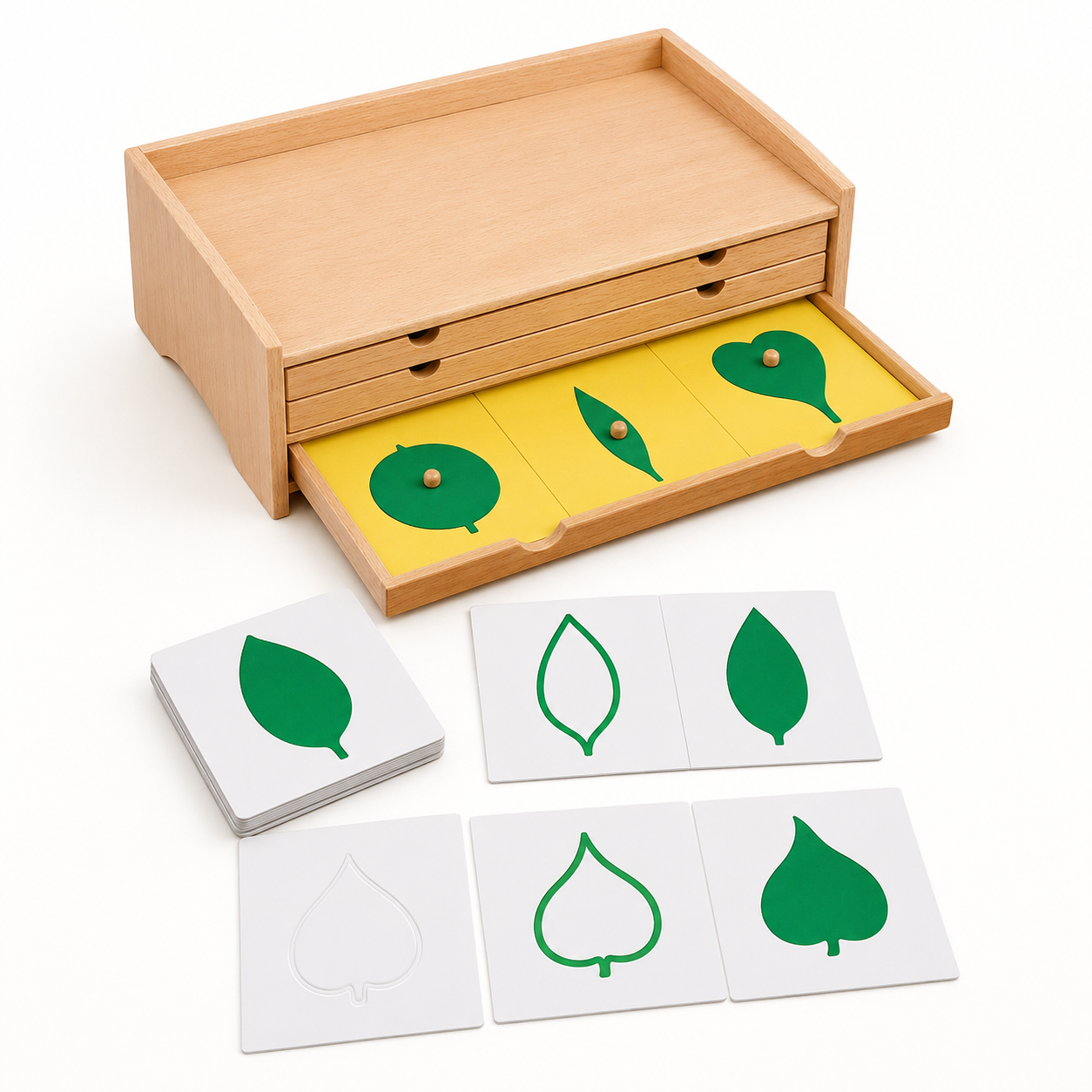 Botany Cabinet Puzzle